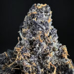 Mendocino Cherries Indica-Dominant Hybrid 30%+ THC cannabis flower District Connect Washington DC Virginia Maryland Richmond VA