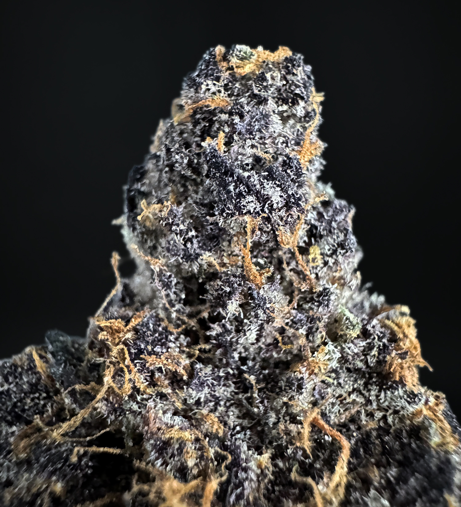 Mendocino Cherries Indica-Dominant Hybrid 30%+ THC cannabis flower District Connect Washington DC Virginia Maryland Richmond VA