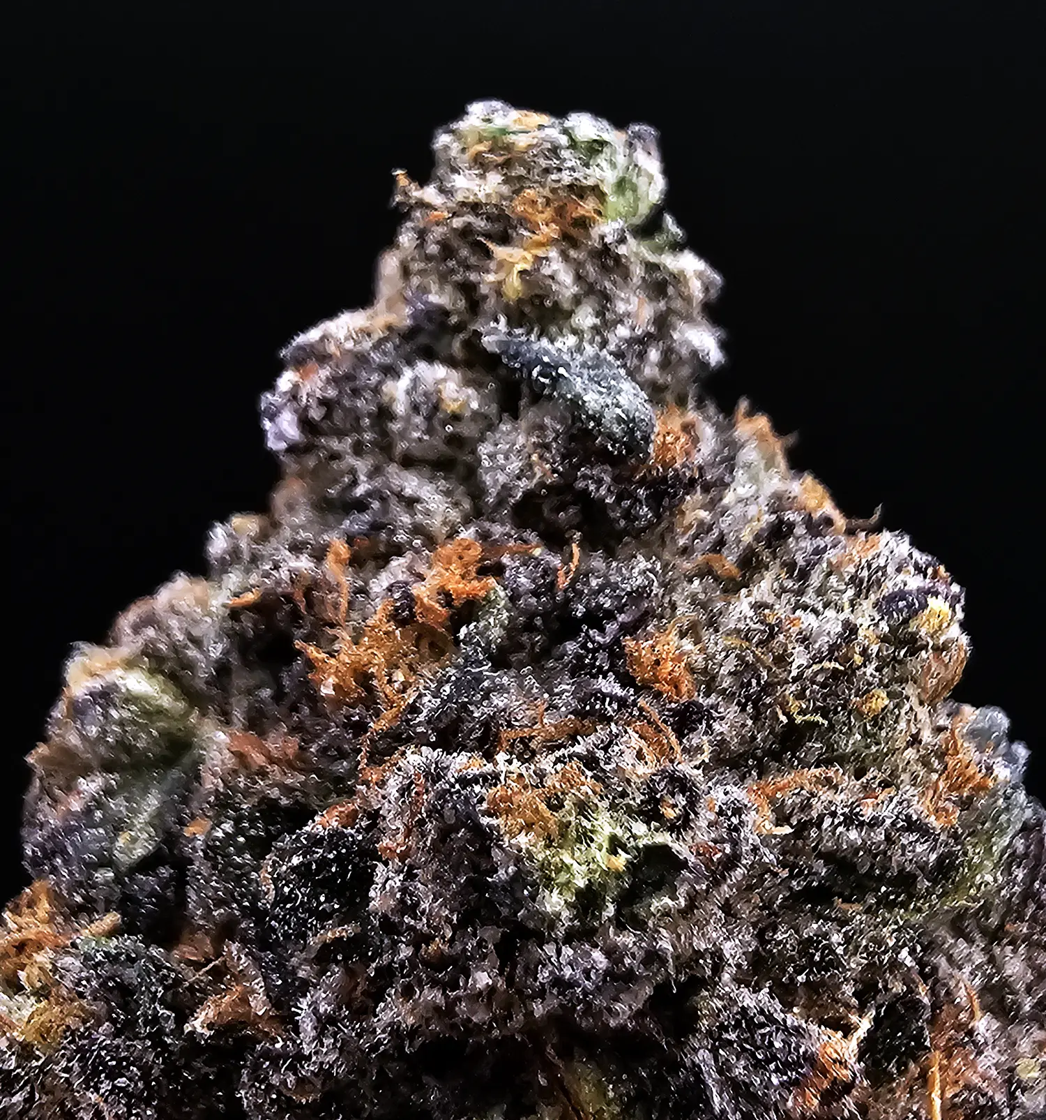 Starburst Kush hybrid flower with 29–33% THC from District Connect available for weed delivery in Washington DC, Virginia, Maryland, and Richmond VA.