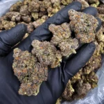 Starburst Kush hybrid flower with 29–33% THC from District Connect available for weed delivery in Washington DC, Virginia, Maryland, and Richmond VA.