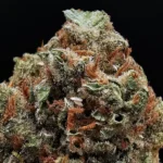 Super Silver Jack Sativa-Dominant Hybrid flower with approximately 28% THC from District Connect available for weed delivery in Washington DC, Virginia, Maryland, and Richmond VA.