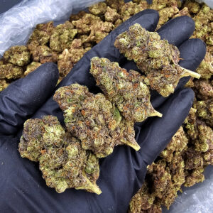 Pink Mist Sativa-Dominant Hybrid 21-26% THC District Connect Weed Delivery Washington DC Virginia Maryland Richmond VA