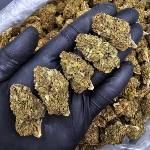 Spice Girls hybrid cannabis flower with 23–27% THC from District Connect available for weed delivery in Washington DC, Virginia, Maryland, and Richmond VA.