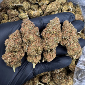 King’s Kush Indica-Dominant 23–27% THC Cannabis Flower – Washington DC, Virginia, Maryland & Richmond VA