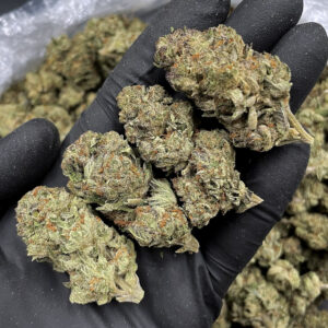 OG Kush Sativa--Dominant Hybrid 20-26% THC District Connect Weed Delivery Washington DC Virginia Maryland Richmond VA