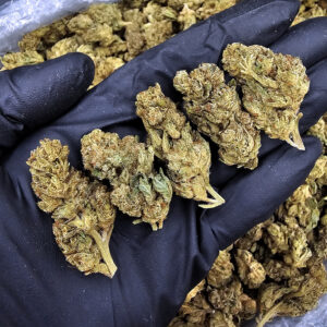 Sour Breath Sativa-Dominant Hybrid 21-26% THC District Connect Weed Delivery Washington DC Virginia Maryland Richmond VA