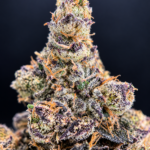 Ultra Violet by G3 Cultivators, a potent 80/20 indica-dominant purple flower with 32% or more THC, available from District Connect for cannabis delivery in Washington DC and Northern Virginia.