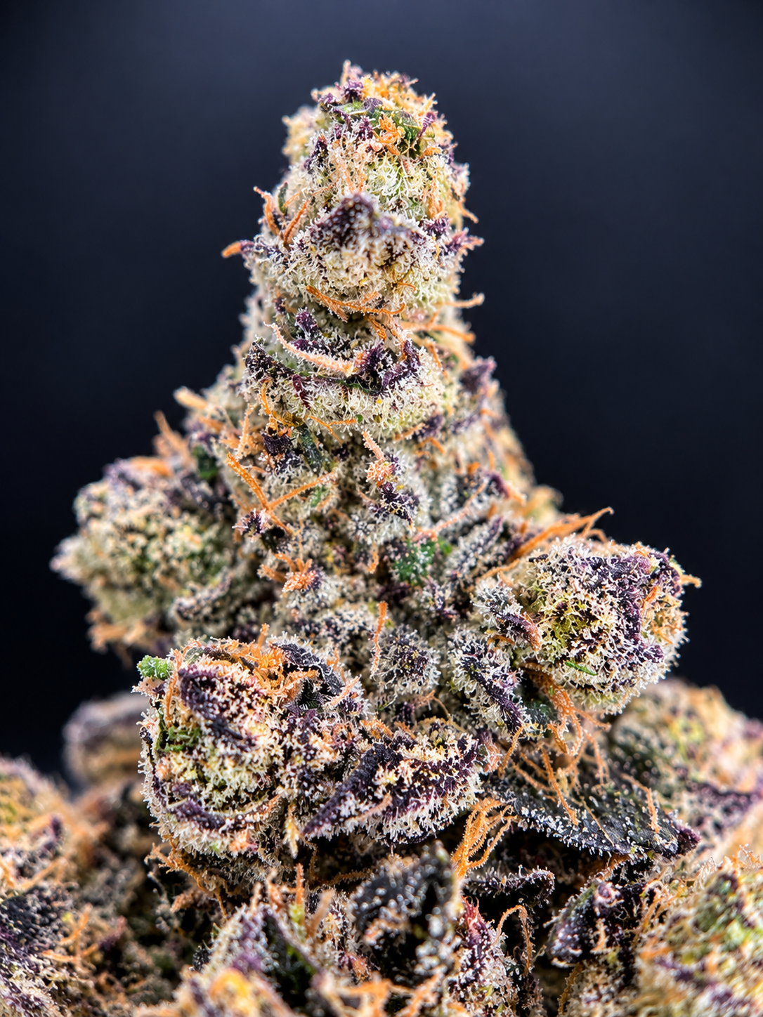 Ultra Violet by G3 Cultivators, a potent 80/20 indica-dominant purple flower with 32% or more THC, available from District Connect for cannabis delivery in Washington DC and Northern Virginia.