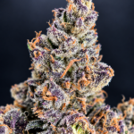 Ultra Violet by G3 Cultivators, a potent 80/20 indica-dominant purple flower with 32% or more THC, available from District Connect for cannabis delivery in Washington DC and Northern Virginia.