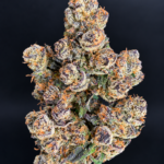 Ultra Violet by G3 Cultivators, a potent 80/20 indica-dominant purple flower with 32% or more THC, available from District Connect for cannabis delivery in Washington DC and Northern Virginia.