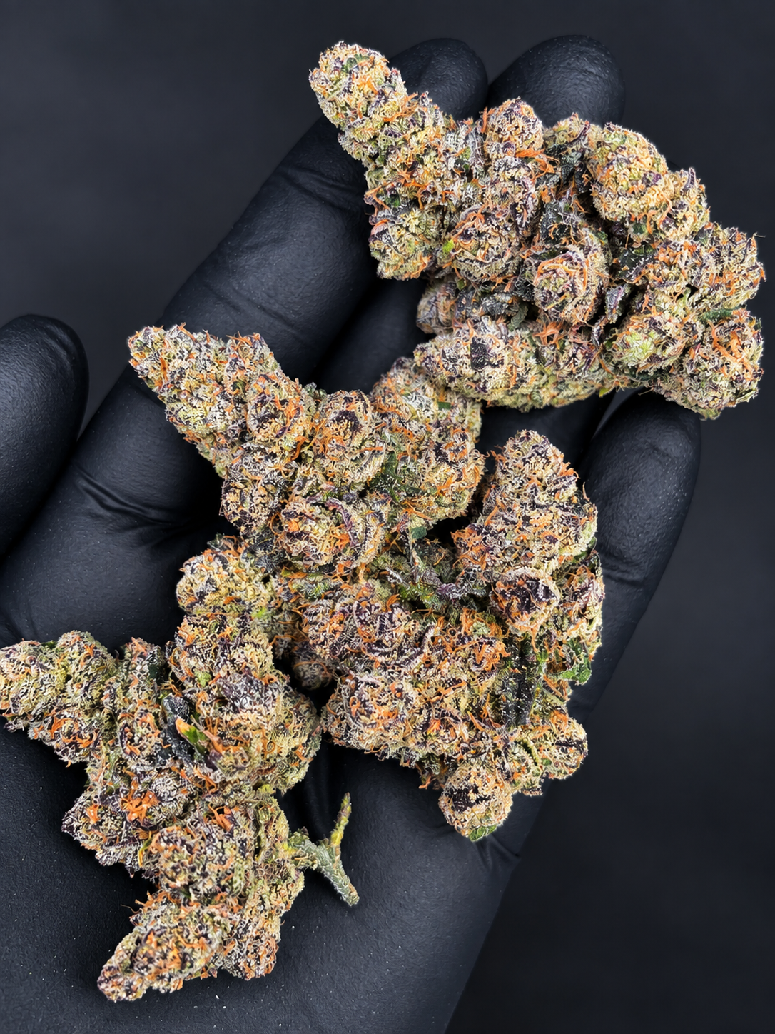 Ultra Violet by G3 Cultivators, a potent 80/20 indica-dominant purple flower with 32% or more THC, available from District Connect for cannabis delivery in Washington DC and Northern Virginia.