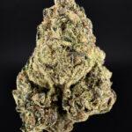 Gruntz hybrid cannabis strain, 25–28% THC, sweet candy and creamy fruit flavor, District Connect weed delivery in Washington DC, Virginia, Maryland, and Richmond VA