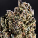 Gruntz hybrid cannabis strain, 25–28% THC, sweet candy and creamy fruit flavor, District Connect weed delivery in Washington DC, Virginia, Maryland, and Richmond VA