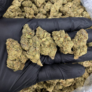 Gruntz hybrid cannabis strain, 25–28% THC, sweet candy and creamy fruit flavor, District Connect weed delivery in Washington DC, Virginia, Maryland, and Richmond VA