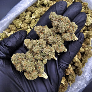 Obama Runtz indica-leaning hybrid cannabis strain, 18–25% THC, with frosty green buds for District Connect customers in Washington DC, Virginia, Maryland, and Richmond VA.