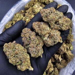 Orange Sunset hybrid cannabis strain, 23–27% THC, District Connect weed delivery in Washington DC, Virginia, Maryland, and Richmond VA.